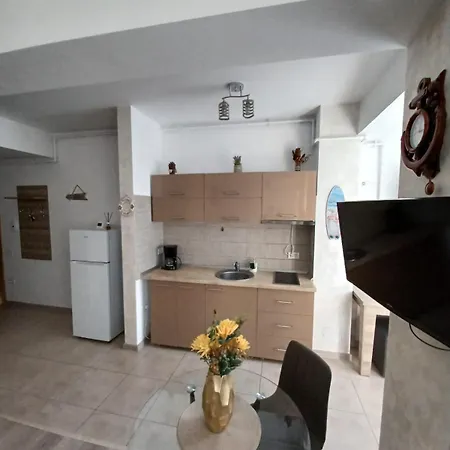 Apartment Zen Navodari